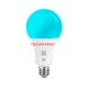 S-Link Swapp SL-RGB15 Smart/Akıllı RGB Lamba/Ampul 15W 50Hz 1200lm Wifi TUYA Destekli S-Link Swapp SL-RGB15 Smart/Akıllı RGB Lamba/Ampul 15W 50Hz 1200lm Wifi TUYA Destekli